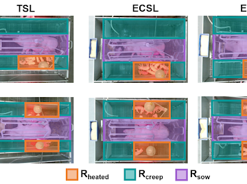 Farrowing crate region mapping