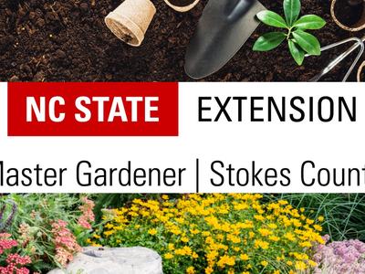 NC State Extension logo and text 'Master Gardener | Stokes County' with gardening tools and plants