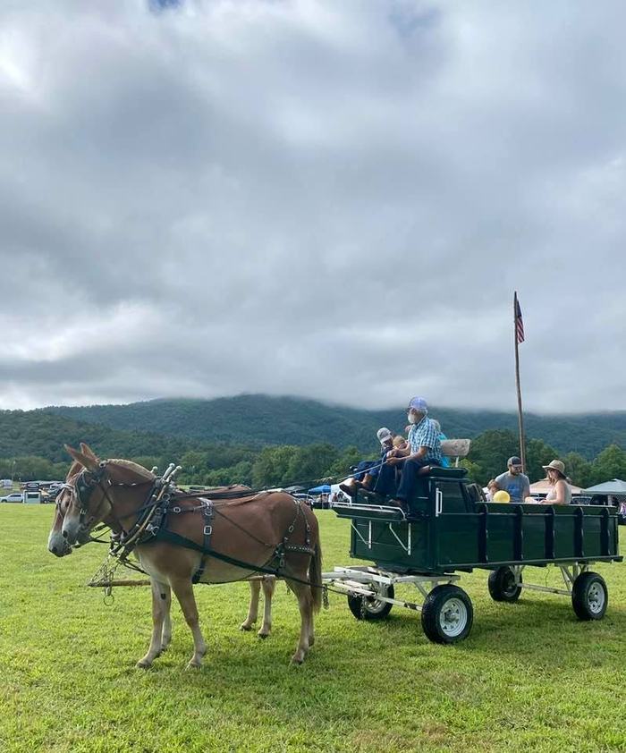 wagon rides