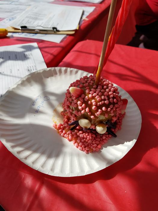 2019 Candy Apple Decorating Contestant