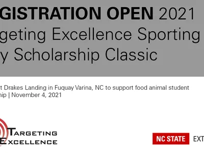 Targeting Excellence Banner
