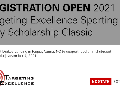 Targeting Excellence Banner