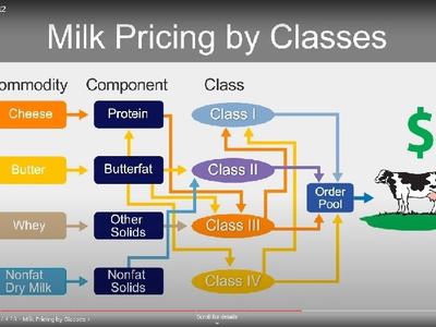 Milk Pricing by Classes: Cheese, Butter, Whey, Nonfat Dry Milk → Components → Classes I–IV
