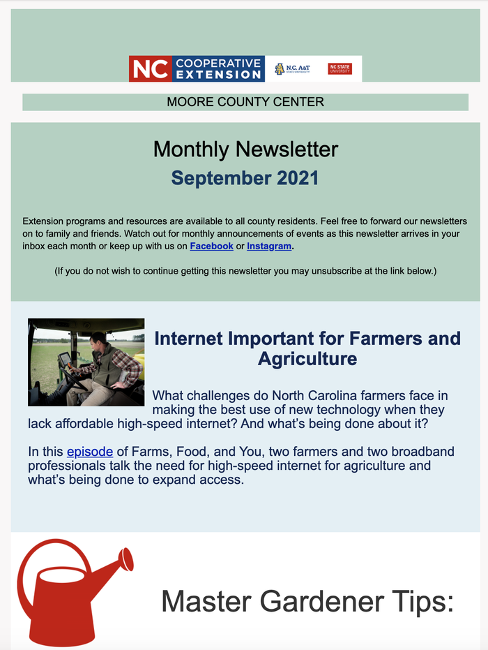 screen shot of monthly newsletter
