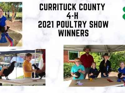 poultry show winners