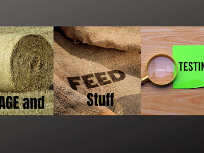 Hay bale labeled "FORAGE and"; burlap sack reading "FEED Stuff"; magnifying glass over "TESTING"