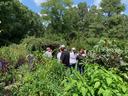 Group of people gathered in a lush vegetable garden, observing and discussing plants
