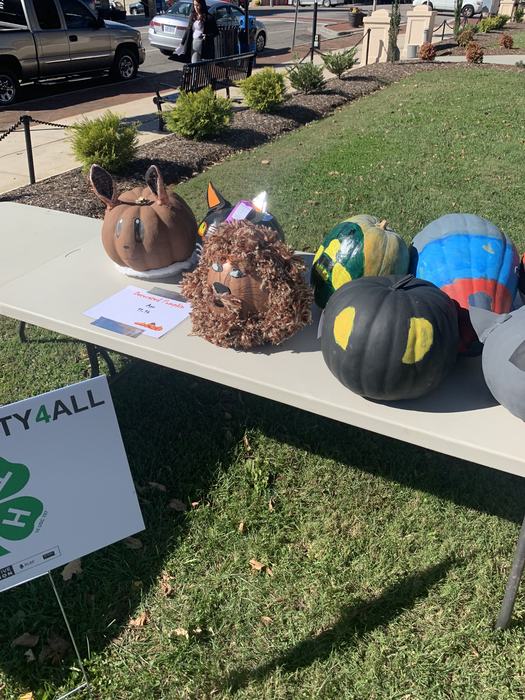 decorated pumpkins