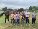 Seven children and an adult standing in front of a brown horse in a grassy field