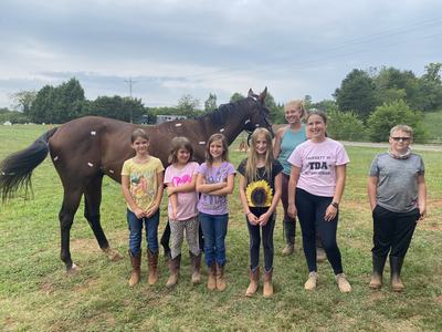 Seven children and an adult standing in front of a brown horse in a grassy field