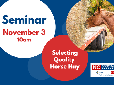 Selecting Quality Horse Hay