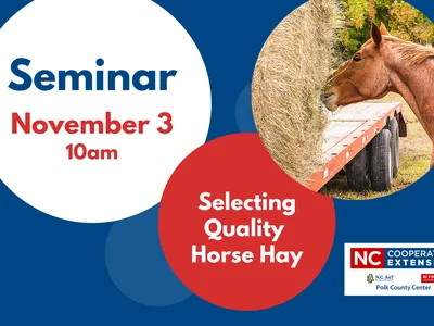 Selecting Quality Horse Hay