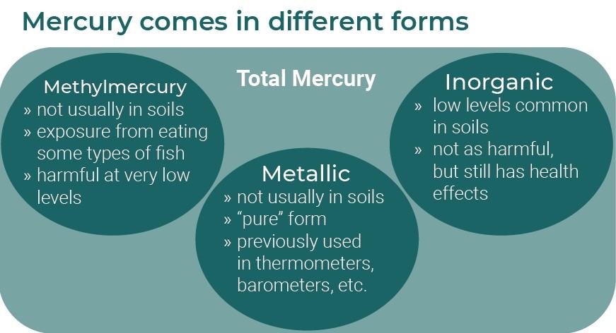 Mercury types