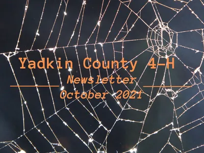 Title of newsletter which states, "Yadkin County 4-H Newsletter October 2021" with spider webs as spooky background.