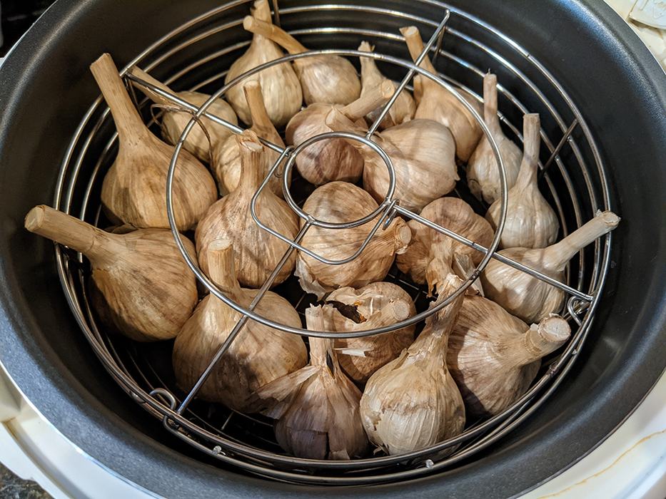 Whole garlic bulbs arranged in a metal wire rack inside a cooking pot