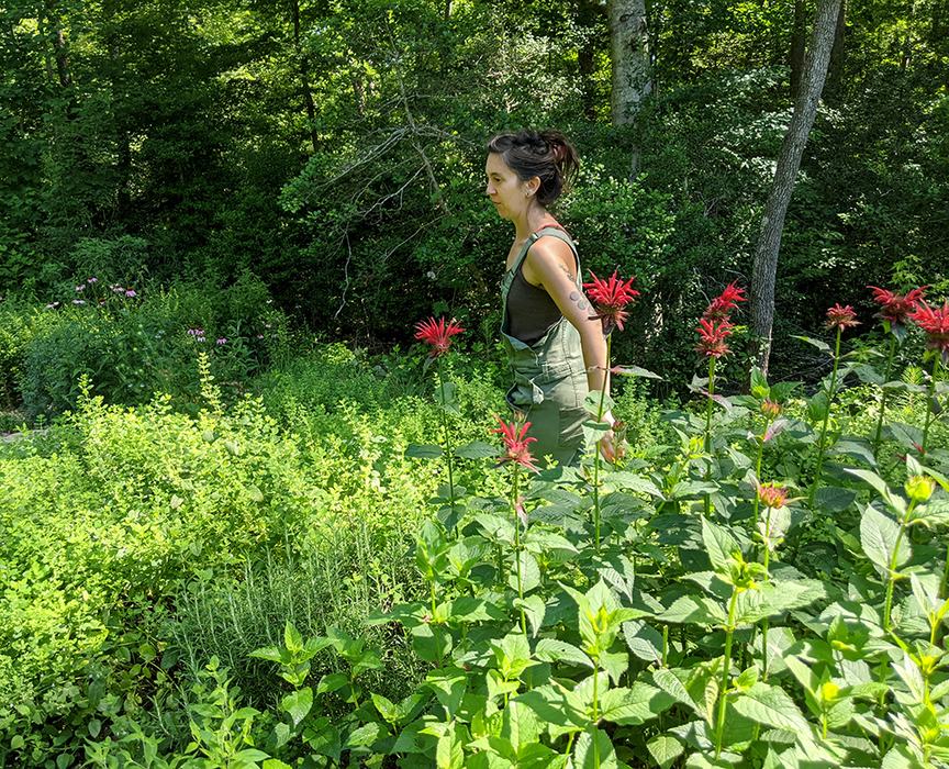 Person in green overalls standing in a sunlit garden among tall red bee balm flowers