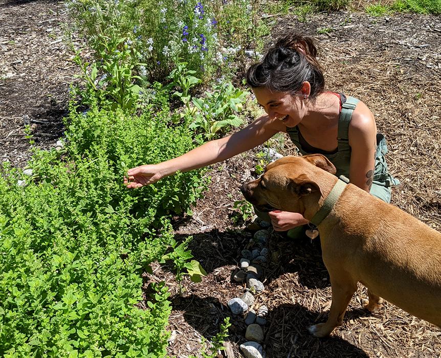 Person kneeling by garden bed reaching toward plants while a dog sniffs nearby.