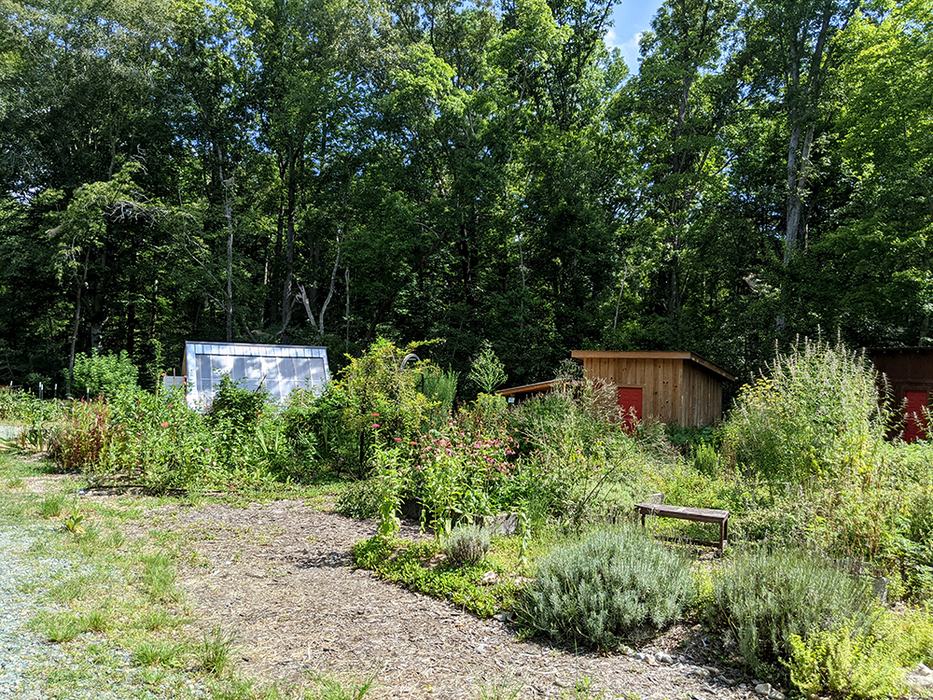 Garden beds and wildflowers with a small greenhouse and wooden sheds by a forest