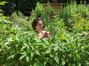 Woman with glasses cutting plants with red pruners in a dense garden