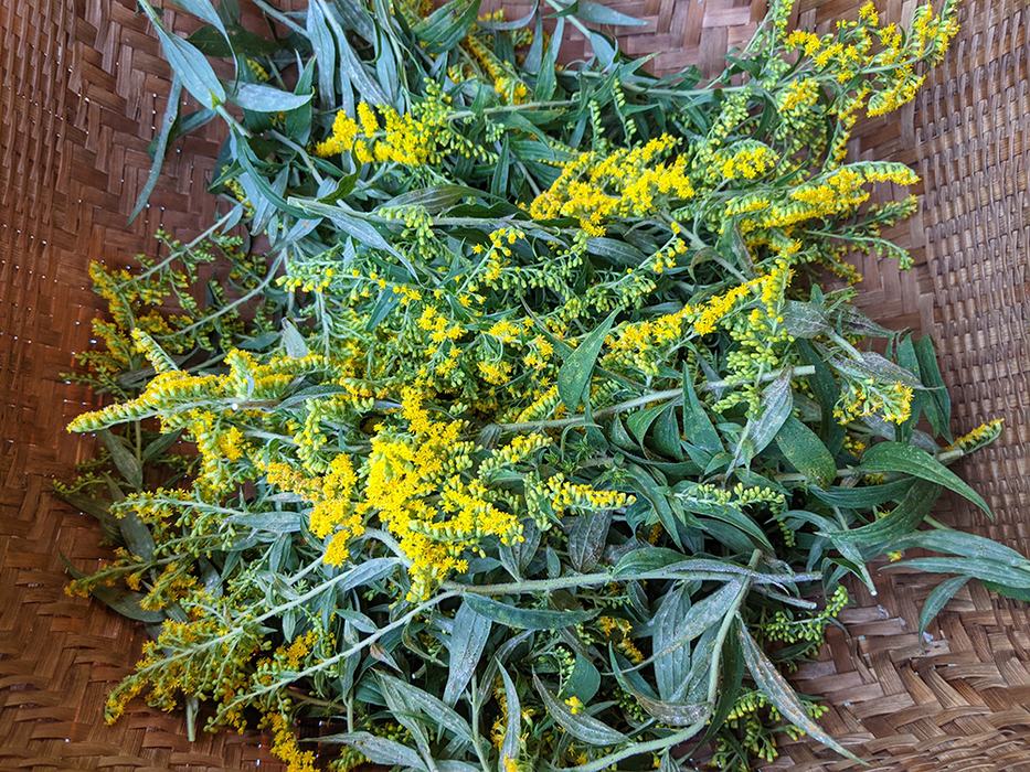 Woven basket filled with yellow goldenrod stems and green leaves