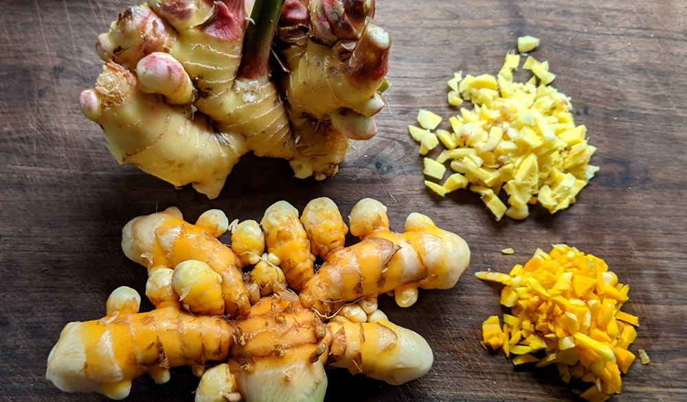 Ginger and Turmeric a High Value Crop for Local Growers - Growing Small  Farms | NC State Extension