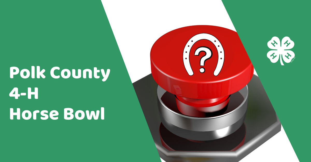 Polk County 4-H Horse Bowl
