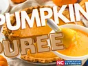 Pumpkin Puree