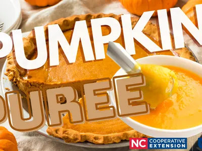 Pumpkin Puree