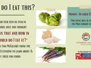 How Do I Eat This flyer