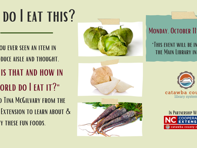 How Do I Eat This flyer