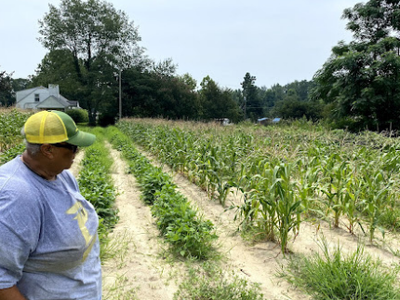 Person wearing cap stands beside rows of corn and other crops in a field