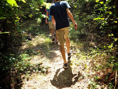 CNR students in the forest