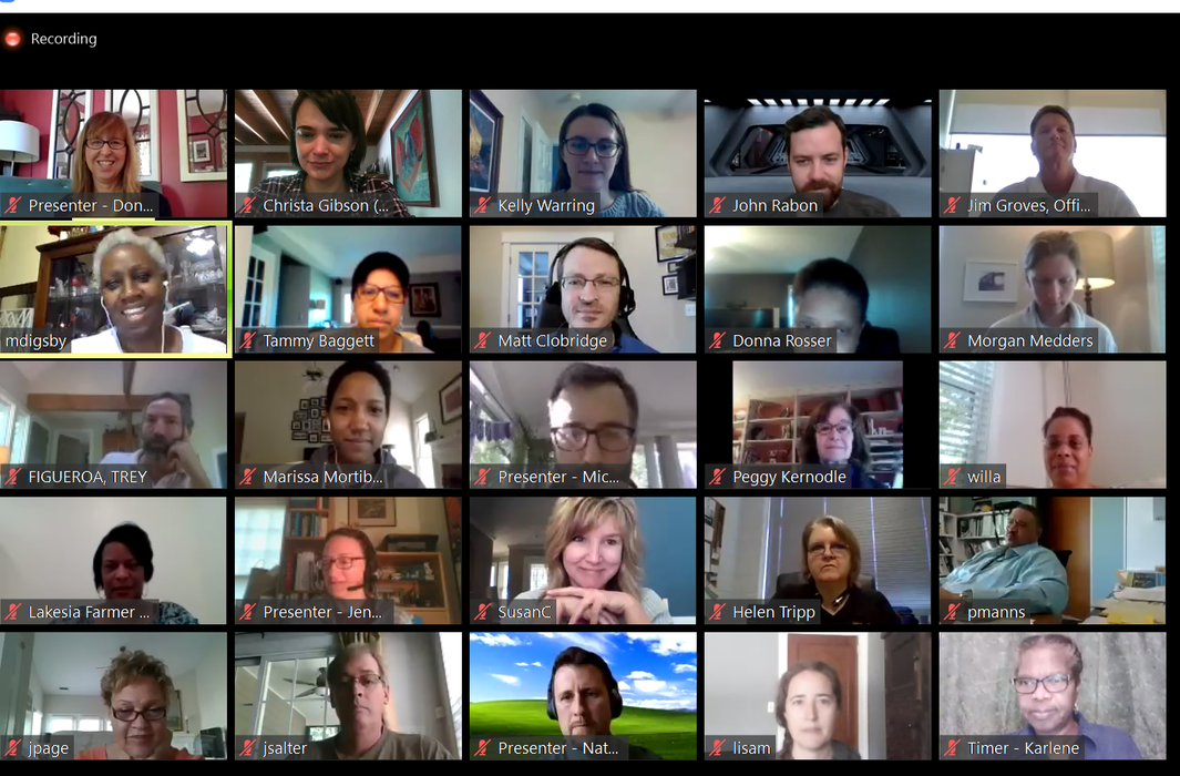 Online participant windows