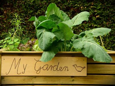 picture of container garden