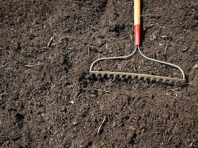Rake lying on freshly tilled garden soil