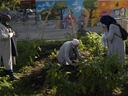 Communiity gardeners