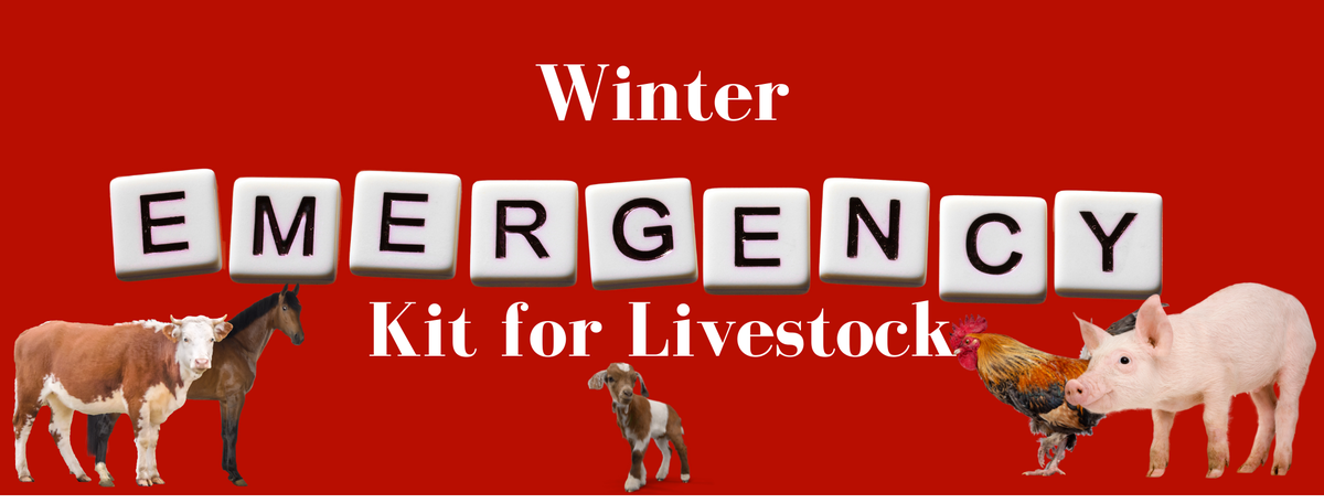 Winter Emergency Kit for Livestock banner
