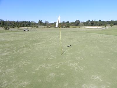 Flagstick casting shadow on a golf green with distant cart and sand bunker