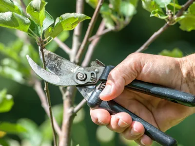 Garden Tools