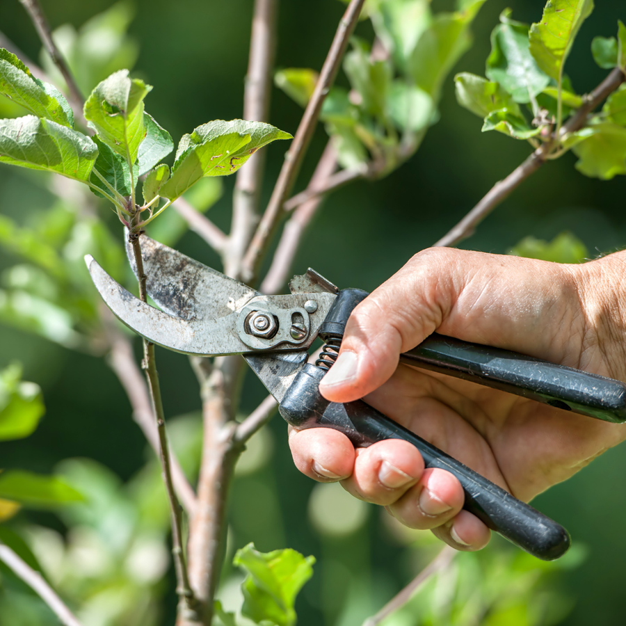 Garden Tools
