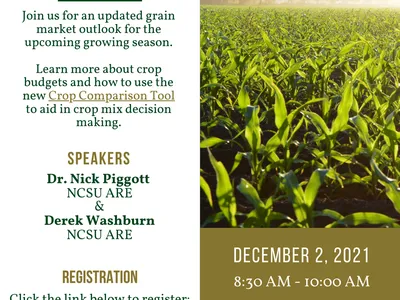 Grain Marketing & Crop Budgeting Webinar — Dec 2, 2021, 8:30–10:00 AM; register go.ncsu.edu/crop.markets
