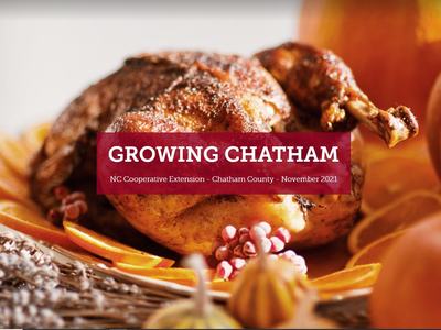 Roasted turkey on platter with pumpkins; overlay text "GROWING CHATHAM"