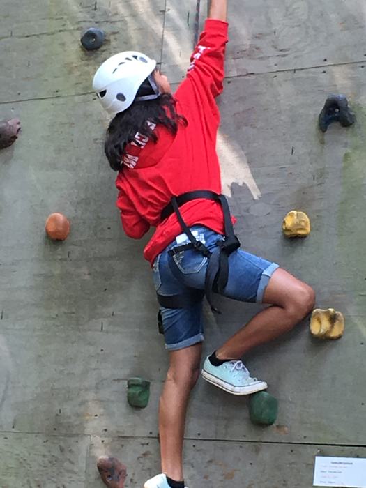Climbing Wall