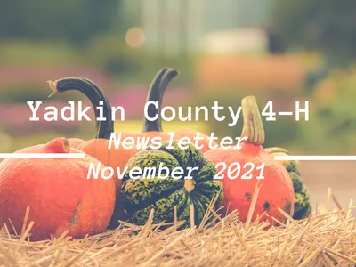 Pumpkins and the words (Yadkin County 4-H Newsletter-November 2021)