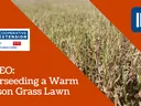 Overseeding a Warm Season Grass Lawn
