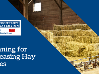 Planning for Increasing Hay Prices