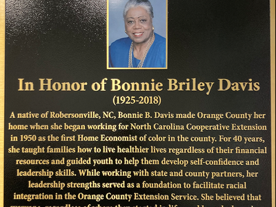 Plaque of Bonnie B Davis with photo