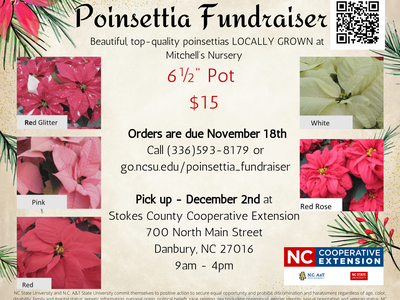 Poinsettia Fundraiser flyer — 6½" pot $15; orders due Nov 18; pickup Dec 2; contact phone/URL