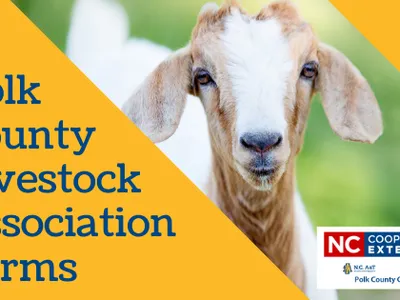 Polk County Livestock Association Forms