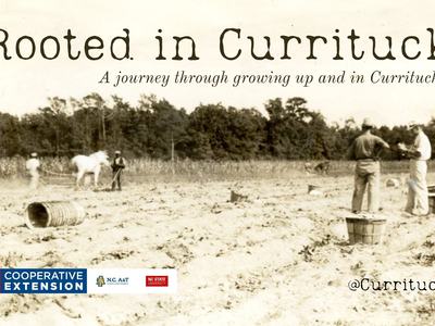 1900's farm with mule and farmers in field